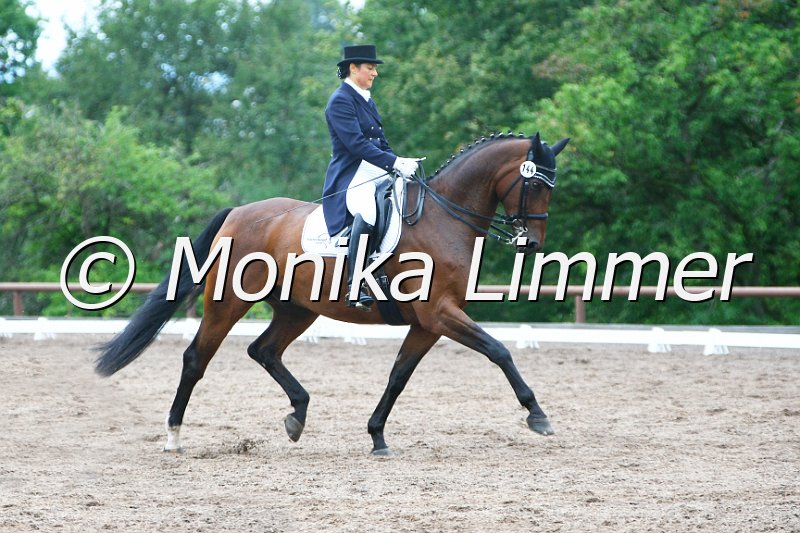 109M1493__Santos_Dressur S_St. Georg_e_.jpg